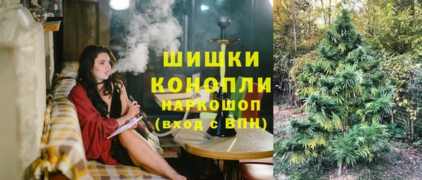 хмурый Козловка