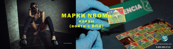 хмурый Козловка