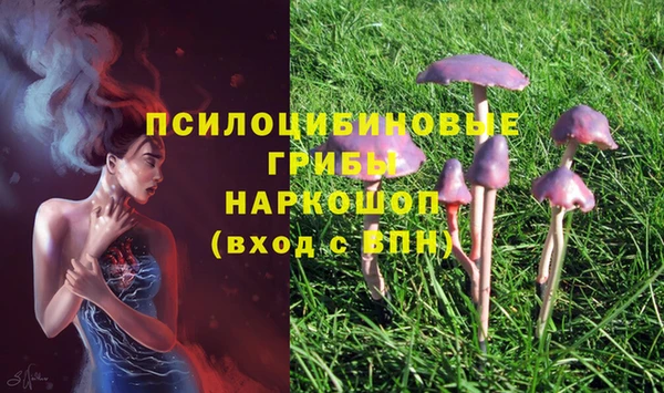 синтетический гашиш Кодинск
