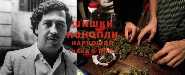 хмурый Козловка