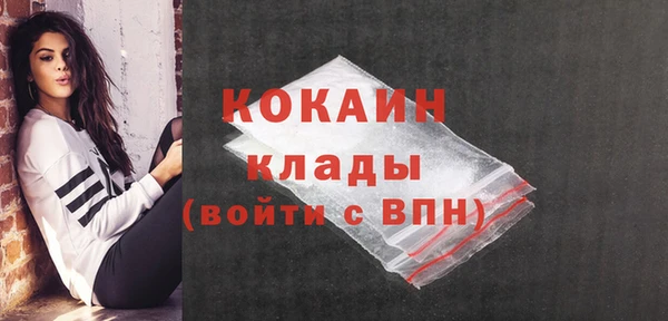 хмурый Козловка