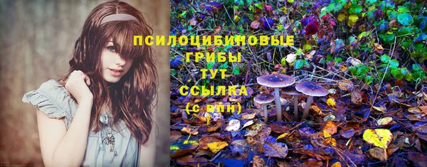 синтетический гашиш Кодинск