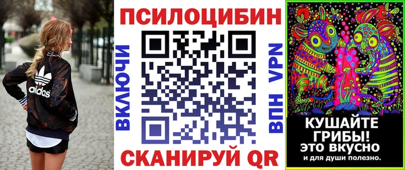 Купить закладки  Терек  Псилоцибиновые грибы MAGIC MUSHROOMS 