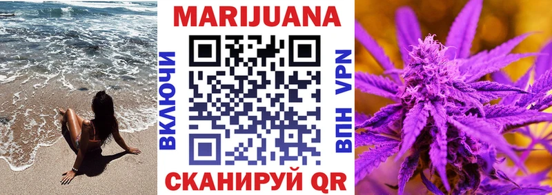 Бошки марихуана SATIVA & INDICA  Купить где  Терек 